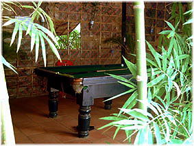 with pool table